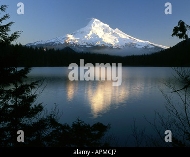 Oregon's tallest peak, Mt Hood (11,235 ft) shimmers in evening light at Lost Lake. Stock Photo