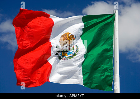 Colorful Mexican flag, San Jose del Cabo, Mexico For sale as