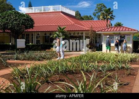 Visitors tour pineapples garden Dole Plantation visitor center near Wahiawa Oahu Hawaii USA Stock Photo