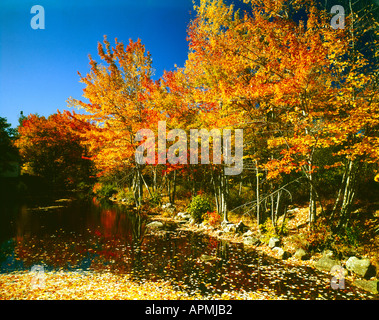 Acadia National Park in Maine with still waters reflecting marvelous Autumnal seasonal colors in the foliage Stock Photo