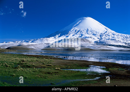 Lago Chungará and Volcán Parinacota 6342m in Lauca National Park Chile Stock Photo