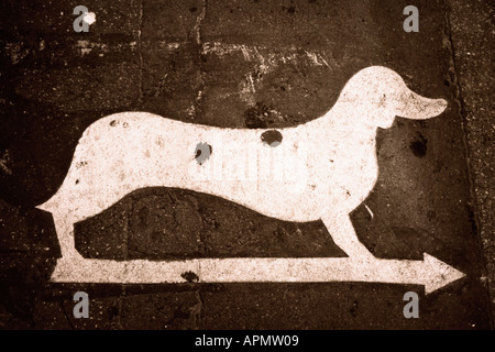 Dog sign on road Stock Photo