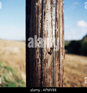 Wooden pole Stock Photo