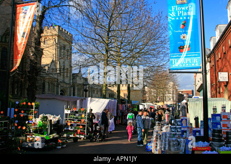 flower and plant market harpur square market shopping bedford town centre bedfordshire england uk gb Stock Photo