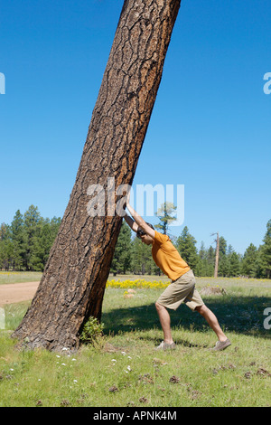 Young man leaning on inclined tree Stock Photo