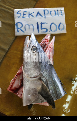 Central Market Seafood Stall Kuala Terengganu Malaysia Stock Photo