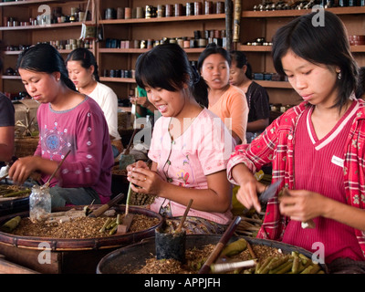 young girls busy making cheroots at a cigar factory on Inle Lake in Myanmar Stock Photo