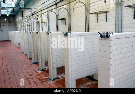 Empty pit head baths at Tower Colliery Hirwaun South Wales UK EU on the day the pit closed Stock Photo