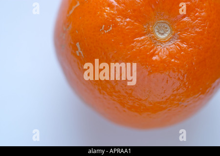 Orange Stock Photo