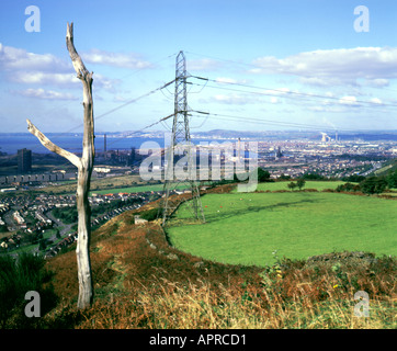 tree killed by acid rain with port talbot steel works in distance south wales Stock Photo