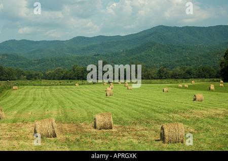 Smokey Mountains part of the Apalachians North Carolina USA with field of big round hay bales in foreground Stock Photo