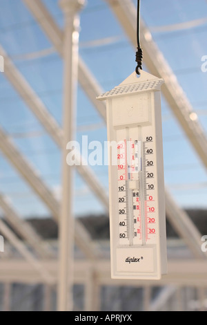 Thermometer hanging in glasshouse in winter. Sussex, England, UK Stock Photo