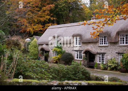 Thatched cottages, Buckland-in-the-moor, Devon Stock Photo
