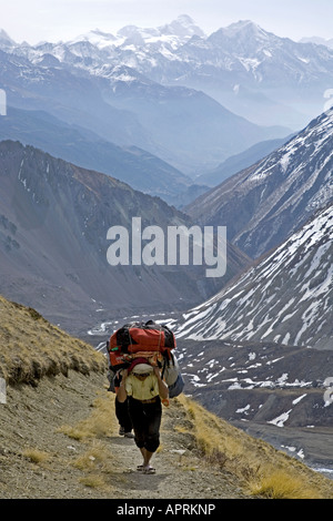 Porter on the way to Tilicho Lake. Annapurna circuit trek. Nepal Stock Photo
