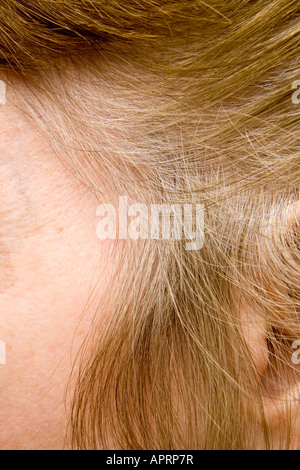 Grey roots ^showing through on a woman's hair Stock Photo