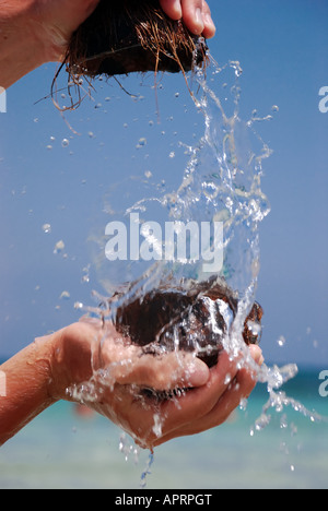 open coconuts and coir flowing to the sea Stock Photo