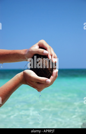 open coconuts and coir flowing to the sea Stock Photo