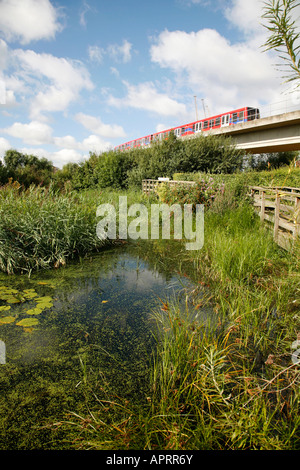 DLR train passing through Bow Creek Ecology Park in Canning Town, London Stock Photo