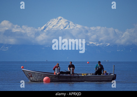 commercial fishing crew pulls in a set net  sockeye salmon  in Cook Inlet Alaska range in background western Kenai Peninsula AK Stock Photo