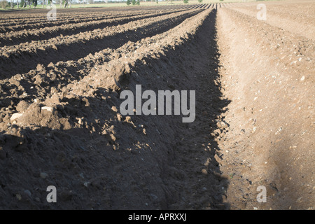 Deep furrows ploughed in soil Butley, Suffolk, England Stock Photo