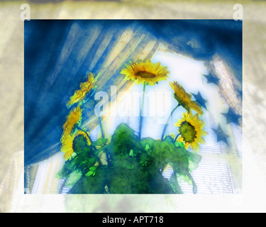 DIGITAL ART: Sunflowers Stock Photo