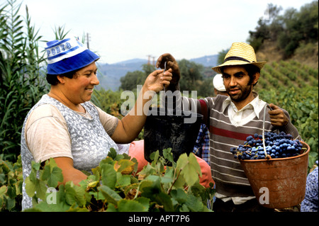 Portugal wine vino verde grapes vintage women Stock Photo