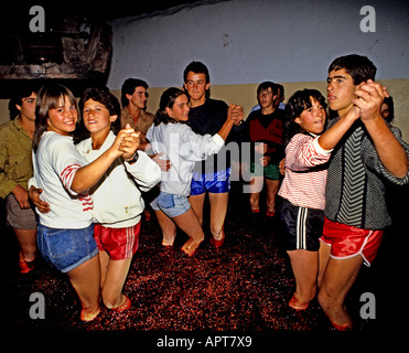 Dancing Portugal, Douro, Oporto, Porto, Porto Portugal Portuguese Port vintage winery wine Stock Photo