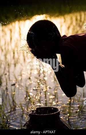 Silhouette of a rural Indian village boy face washing from a clay pot next to of a rice paddy field. Andhra Pradesh, India Stock Photo