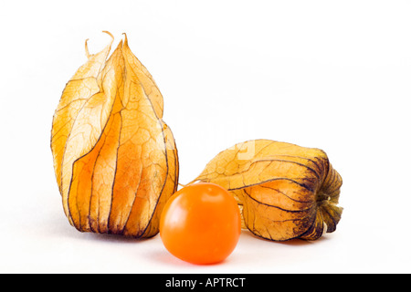 Physalis isolated on white background Stock Photo