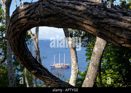 Tui Tai Adventure Cruises Fiji Islands Cobia Island Ringgolds Stock Photo