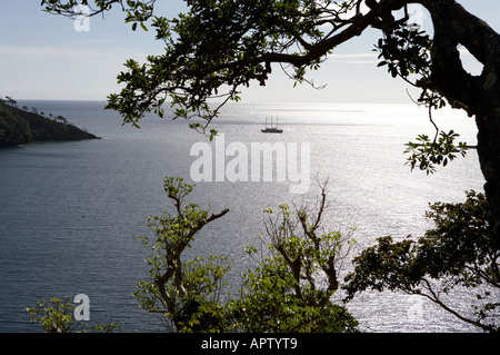 Tui Tai Adventure Cruises Fiji Islands Cobia Island Ringgolds Stock Photo