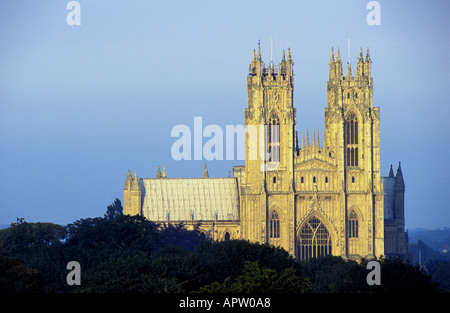 Beverley Minster East Yorkshire Founded by St John of Beverley c 700 Stock Photo