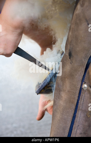 Farrier burning on new horse shoe in cloud of smoke Stock Photo