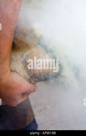 Farrier burning on new horse shoe in cloud of smoke Stock Photo