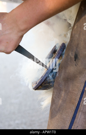 Farrier burning on new horse shoe in cloud of smoke Stock Photo