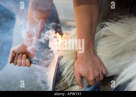 Farrier burning on new horse shoe Stock Photo