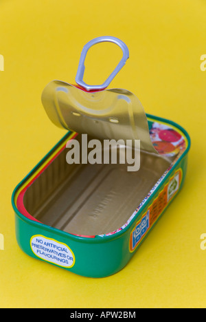 Empty open sardine tin on plain seamless background Stock Photo