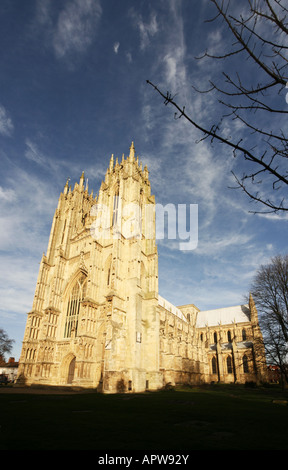 Beverley Minster Cathedral Stock Photo