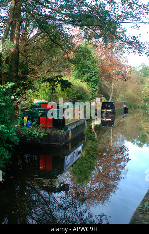 Narrow Boats On The Cauldon Canal Stock Photo