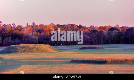 Indian mounds at Moundville Archaeological Park Alabama USA Stock Photo