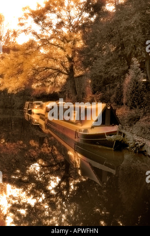 Narrow Boat On The Cauldon Canal Stock Photo