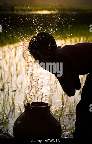 Silhouette of a rural Indian village boy face washing from a clay pot next to of a rice paddy field. Andhra Pradesh, India Stock Photo