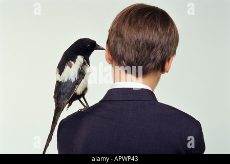 Boy with magpie on his shoulder Stock Photo