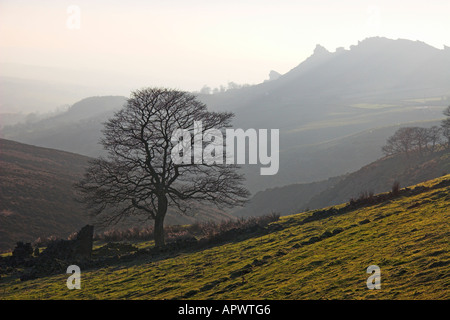 Ramshaw Rocks on a misty winter day, Peak District, Staffordshire Stock Photo