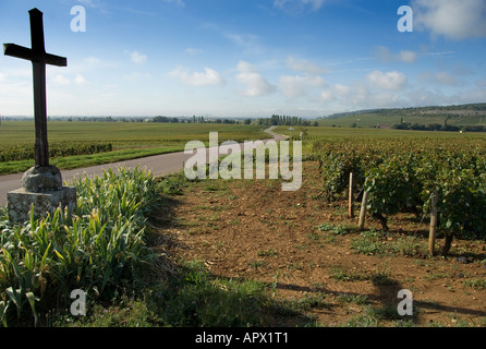 Landscape with road and cross at premier cru vineyard between Pernand Vergelesses and Savigny les Beaune, Burgundy, France Stock Photo