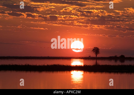 Sunset over the Chobe River Stock Photo