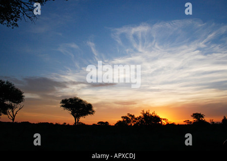 Sunset over the bushveld with delicate clouds Stock Photo