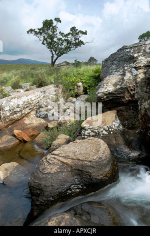 Flowing stream at the Mac Mac pools Stock Photo