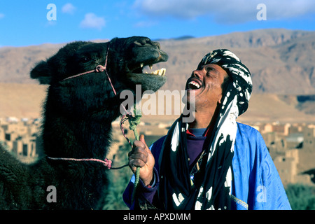 A Moroccan man shares a laugh with his camel in Tenerhir Stock Photo