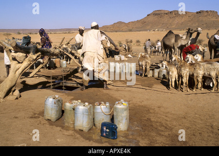 Nomads fetch water for their camels and herd of goats from a desert well Stock Photo